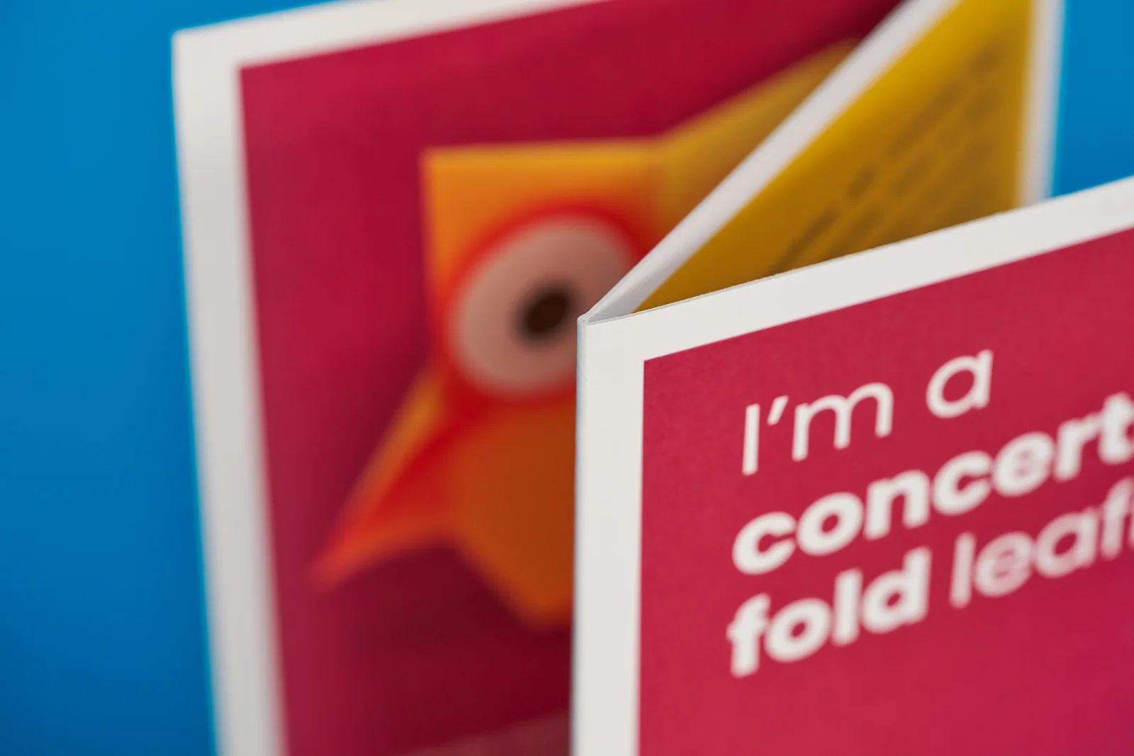 concertina-folded-leaflet-detail2