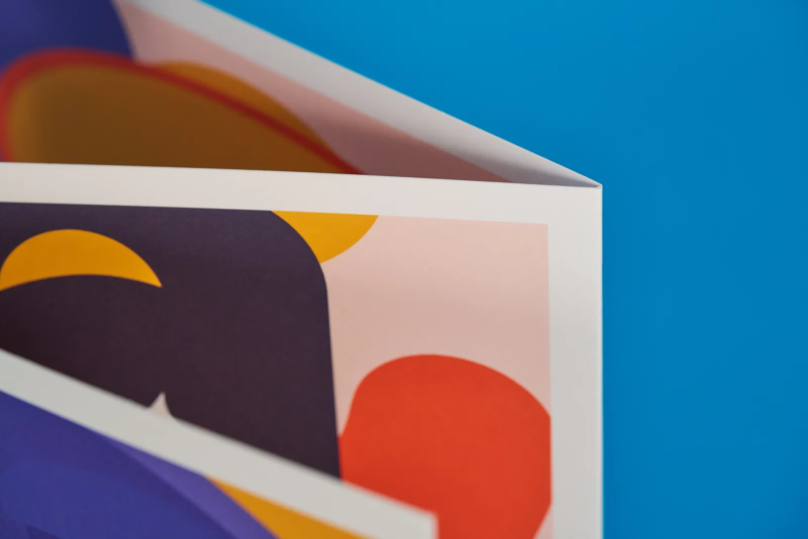 concertina-folded-leaflet-detail3