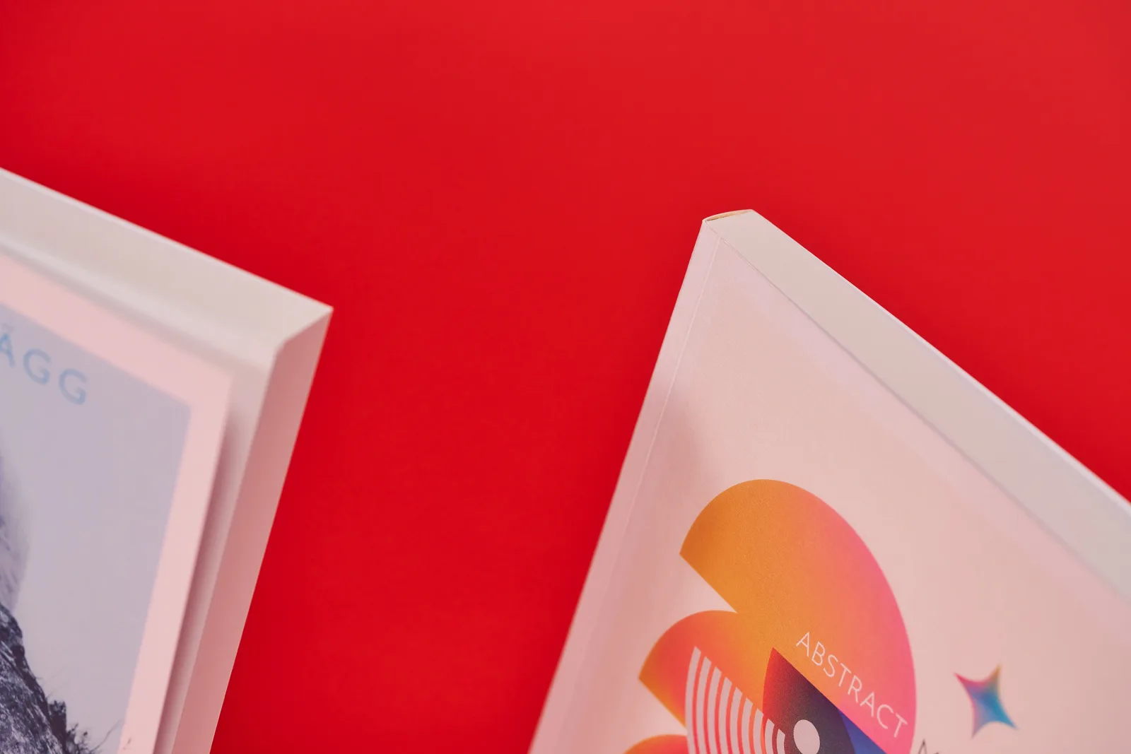 2 printed paperback books showing spine and fannedinner pages on a bright red background
