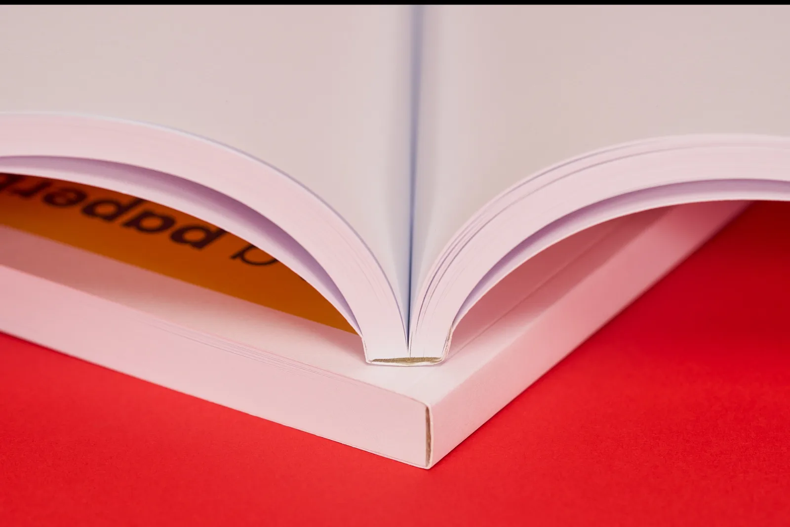 2 paperback books showing close up of spines with a open book showing inner pages on a bright red background