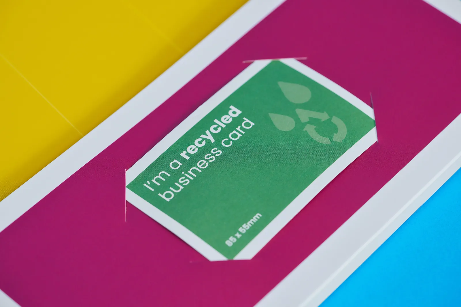 purple and yellow presentation folder showing a green business card in cut out slits ona. bright blue background
