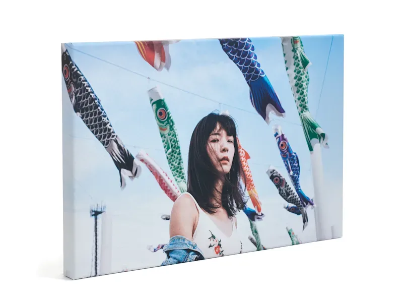 Canvas 280gsm — Roll