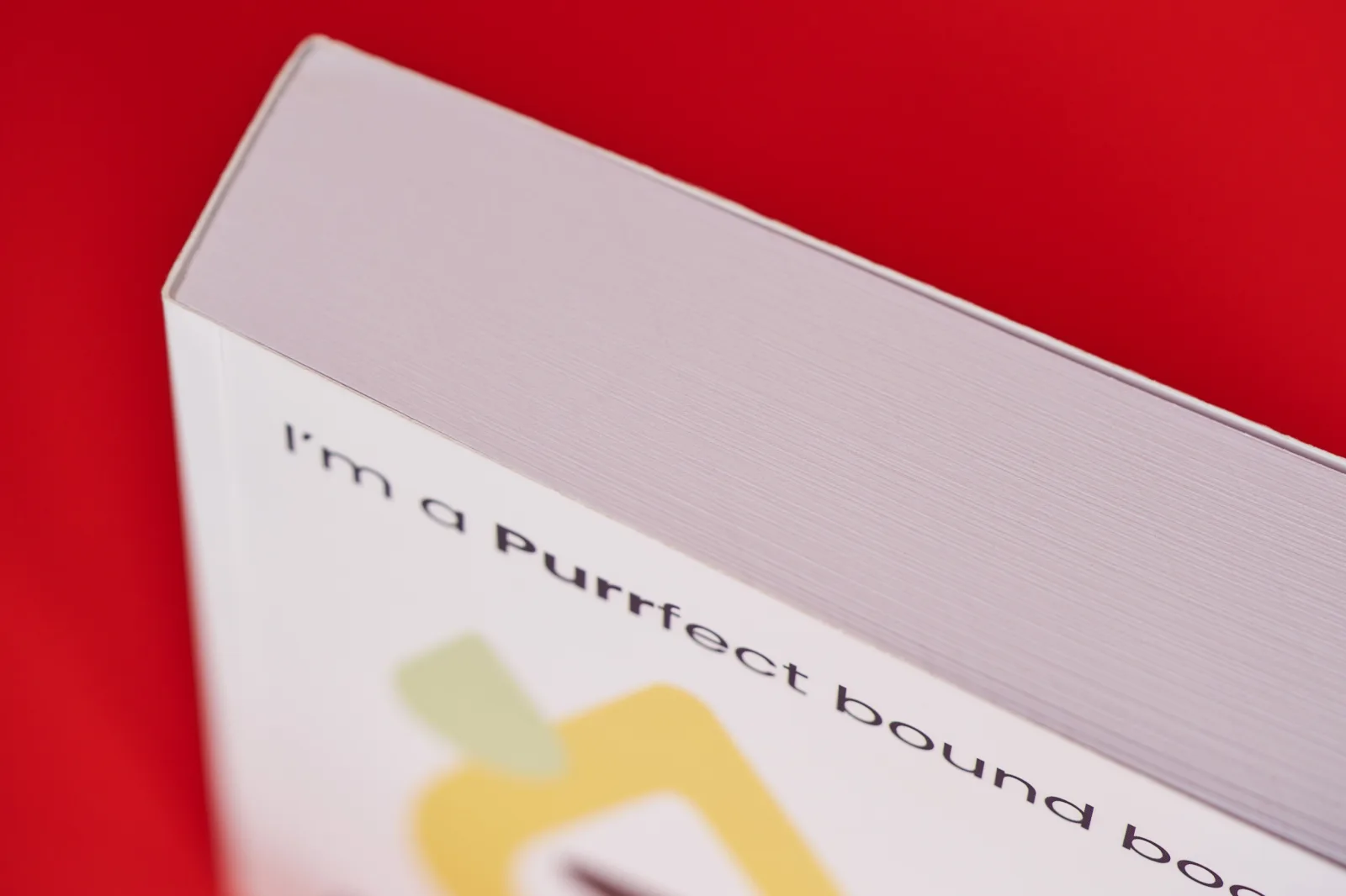 Perfect Bound Book Printing – view 3